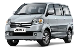 SILKY SILVER METALLIC