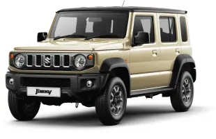 METALLIC CHIFFON IVORY 2 + PEARL BLUISH BLACK